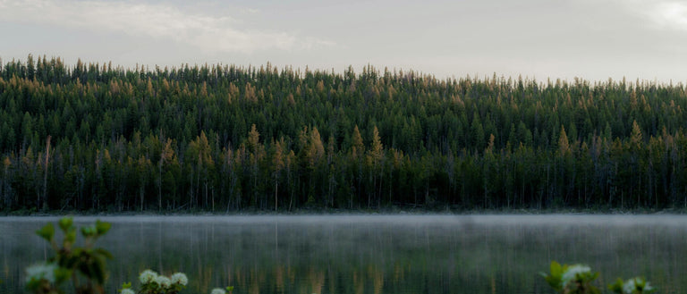 Ruhiger See mit Waldreflexion im Morgennebel – reine nordische Natur von Barnängen.